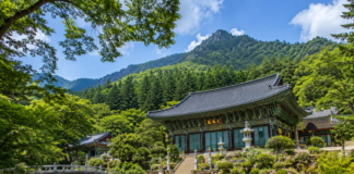 홍천 공작산 수타사와 숲길 풍경