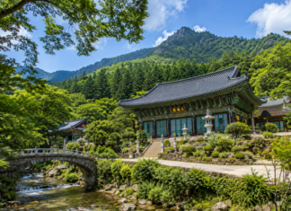 홍천 수타사, 보물 대적광전과 3.8km 산소길 품은 공작산 천년고찰 홍천 공작산 수타사와 숲길 풍경