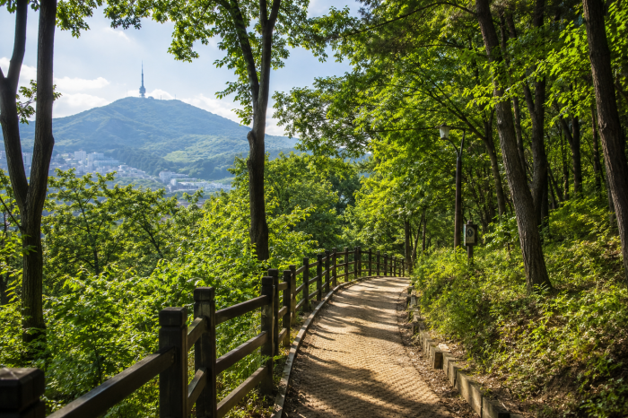 월광수변공원에서 앞산 방향으로 이어지는 숲길 산책로
