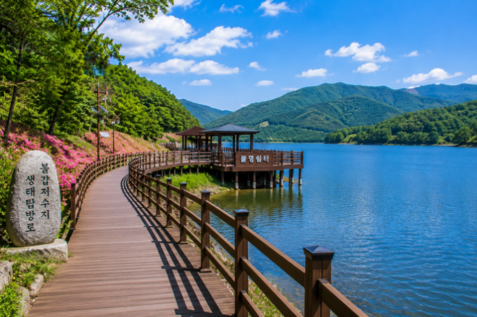 yeonggwang-bulgap-reservoir-waterfront-deck 영광 불갑저수지 생태탐방로와 물멍 쉼터