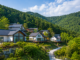 영주 국립산림치유원 숲속 숙소 전경