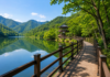 영주 순흥저수지 데크길, 1.35km 호수 산책로에서 만나는 소백산 물빛 영주 순흥저수지 데크길과 소백산 자락 호수 풍경
