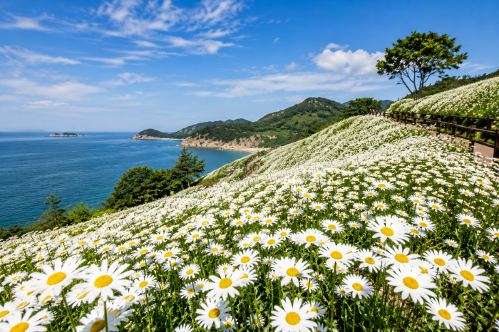부안 송포항 인근 변산마실길 해안 산책로 풍경