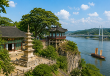 남한강 옆에 자리한 여주 신륵사와 강월헌, 출렁다리가 어우러진 강변 사찰 풍경