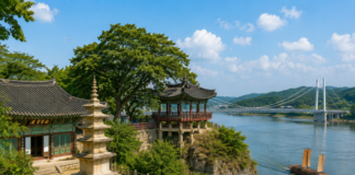 남한강 옆에 자리한 여주 신륵사와 강월헌, 출렁다리가 어우러진 강변 사찰 풍경