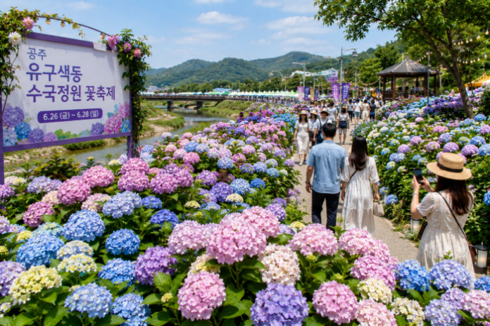 공주 유구 색동수국정원 수국축제 풍경