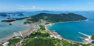 완도 소안도 대봉산둘레길, 7.5km 해안 숲길에서 만나는 항일의 섬