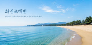 화진포해변 여행 대표 이미지