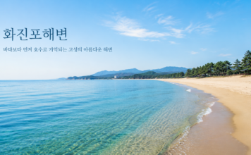 화진포해변 여행 대표 이미지