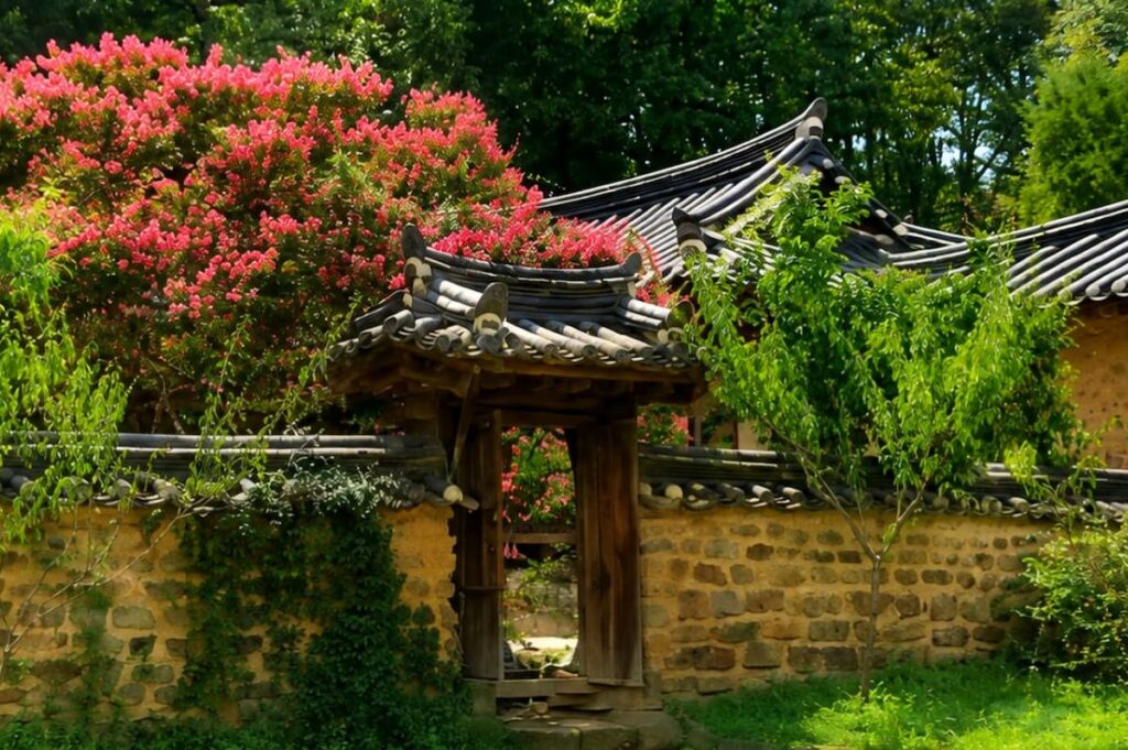삼가헌 작은 문과 배롱나무 담장 풍경