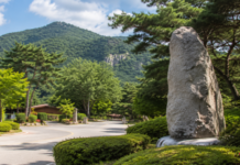 울창한 산림과 목조 숙소가 어우러진 충주 봉황자연휴양림