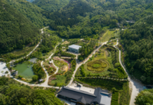 보령무궁화수목원, 24ha 성주산 숲에서 무궁화·숲하늘길 무료 산책 성주산 자락에 조성된 보령무궁화수목원과 무궁화 테마원 전경