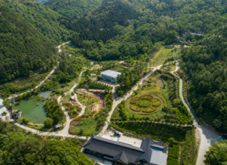보령무궁화수목원, 24ha 성주산 숲에서 무궁화·숲하늘길 무료 산책 성주산 자락에 조성된 보령무궁화수목원과 무궁화 테마원 전경