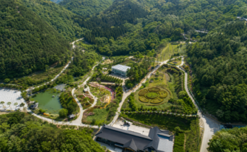 보령무궁화수목원, 24ha 성주산 숲에서 무궁화·숲하늘길 무료 산책 성주산 자락에 조성된 보령무궁화수목원과 무궁화 테마원 전경
