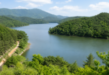 바다의 도시 부산에 숨은 호수길, 회동수원지 황토숲길을 걷다 부산 회동수원지와 숲으로 둘러싸인 호수 전경