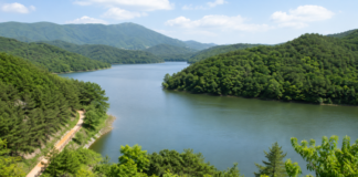 바다의 도시 부산에 숨은 호수길, 회동수원지 황토숲길을 걷다 부산 회동수원지와 숲으로 둘러싸인 호수 전경