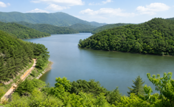 바다의 도시 부산에 숨은 호수길, 회동수원지 황토숲길을 걷다 부산 회동수원지와 숲으로 둘러싸인 호수 전경