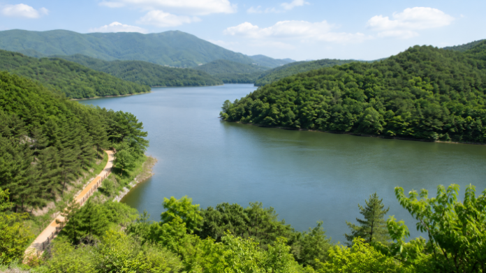 busan_hoedong_reservoir_forest_lake_main 부산 회동수원지와 숲으로 둘러싸인 호수 전경
