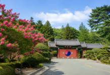 800년 배롱나무가 붉어지는 계절, 부산 화지공원 정묘사의 여름 부산진 배롱나무와 정묘사 현경문 여름 풍경
