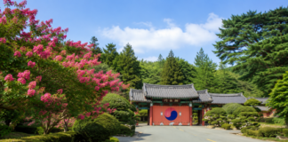 부산진 배롱나무와 정묘사 현경문 여름 풍경