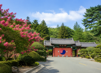 부산진 배롱나무와 정묘사 현경문 여름 풍경