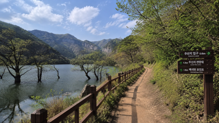 청송 주산지 수변 산책로와 왕버들 전망대로 이어지는 방향 안내판
