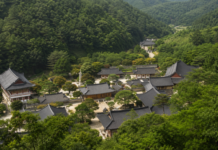 충주 석종사, 연중무휴·무료 개방하는 금봉산 숲속 사찰…템플스테이는 별도 예약 충주 금봉산 숲속에 자리한 석종사 전경