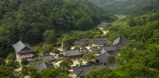 충주 금봉산 숲속에 자리한 석종사 전경