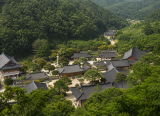 충주 금봉산 숲속에 자리한 석종사 전경
