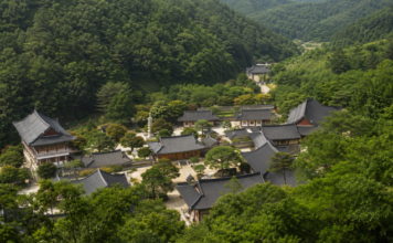 충주 금봉산 숲속에 자리한 석종사 전경