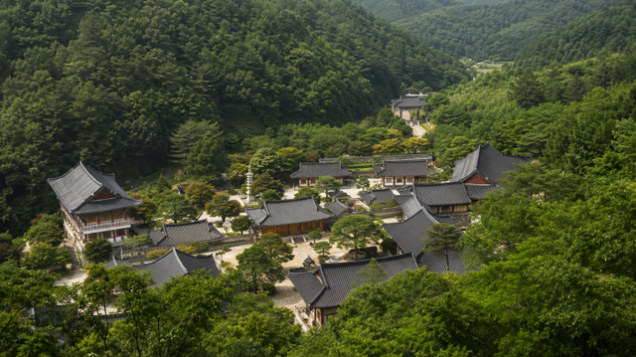 chungju-seokjongsa-forest-temple-aerial-view 충주 금봉산 숲속에 자리한 석종사 전경