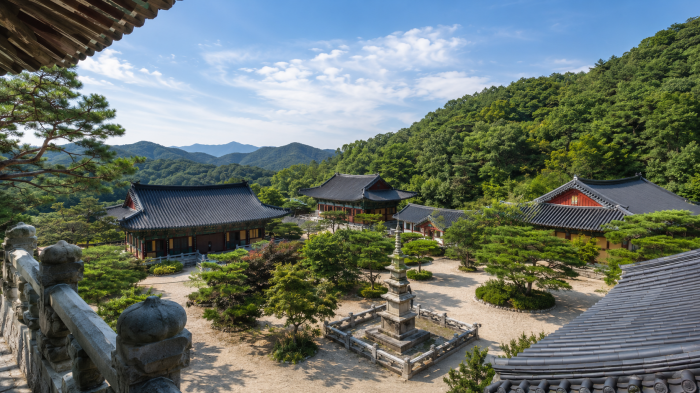 충주 석종사 전각과 금봉산 능선 파노라마
