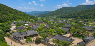산자락 아래 한옥과 돌담이 모여 있는 대구 옻골마을 전경