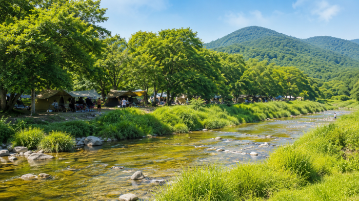 울창한 숲에 조성된 덕적도 자연휴양림 야영데크