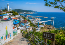 동해 묵호 논골담길 언덕과 묵호등대, 도째비골 스카이밸리, 해랑전망대, 푸른 동해 바다가 어우러진 항구마을 풍경