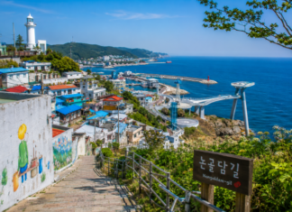 “강릉·속초 대신 묵호” 동해의 산토리니라 불리는 2박3일 뚜벅이 여행 동해 묵호 논골담길 언덕과 묵호등대, 도째비골 스카이밸리, 해랑전망대, 푸른 동해 바다가 어우러진 항구마을 풍경
