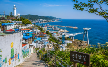 동해 묵호 논골담길 언덕과 묵호등대, 도째비골 스카이밸리, 해랑전망대, 푸른 동해 바다가 어우러진 항구마을 풍경