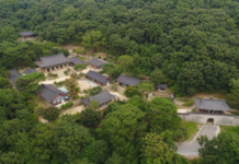 강화 전등사, 381년 창건 전승 품은 삼랑성 천년 숲길 울창한 정족산 숲과 삼랑성 안에 자리한 강화 전등사 전경