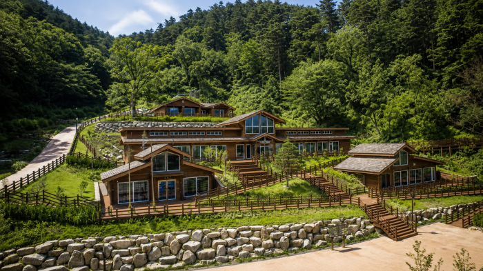 숲과 데크로 연결된 강릉 임해자연휴양림 목조 숙박시설