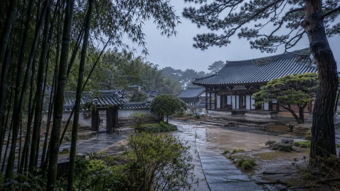 강릉 오죽헌 검은 대나무와 비 내리는 한옥 마당