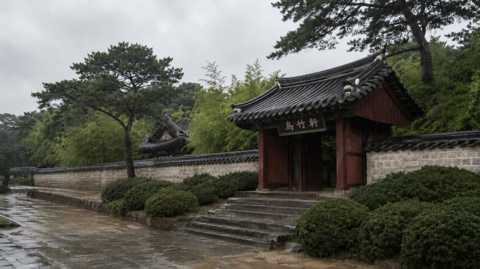 비에 젖은 강릉 오죽헌 전통문과 돌담길