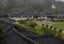 강릉 오죽헌·선교장, 비 오는 날 더 아름다운 한옥 여행지…연못·오죽·젖은 기와 따라 걷는 우중 코스 비 내리는 강릉 선교장 한옥과 젖은 기와지붕 전경