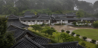 강릉 오죽헌·선교장, 비 오는 날 더 아름다운 한옥 여행지…연못·오죽·젖은 기와 따라 걷는 우중 코스 비 내리는 강릉 선교장 한옥과 젖은 기와지붕 전경
