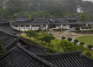 강릉 오죽헌·선교장, 비 오는 날 더 아름다운 한옥 여행지…연못·오죽·젖은 기와 따라 걷는 우중 코스 비 내리는 강릉 선교장 한옥과 젖은 기와지붕 전경