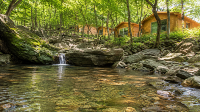 geoje-natural-recreation-forest-stream-cabins 거제자연휴양림 숲속의 집 아래로 흐르는 계곡과 울창한 여름 숲