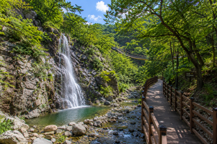 금산 월영산 출렁다리 원골 인공폭포와 수변 데크길