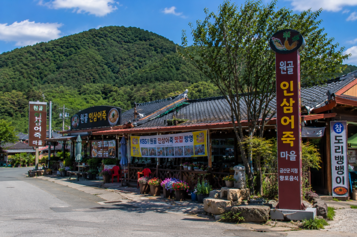 금산 원골 인삼어죽마을과 월영산 출렁다리 여행 동선