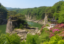 철원 고석정, 수억 년 절벽과 한탄강이 만나는 여름 명소… 전설 품은 철원 9경 한탄강과 고석, 강변 정자가 어우러진 철원 고석정 전경