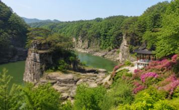 철원 고석정, 수억 년 절벽과 한탄강이 만나는 여름 명소… 전설 품은 철원 9경 한탄강과 고석, 강변 정자가 어우러진 철원 고석정 전경