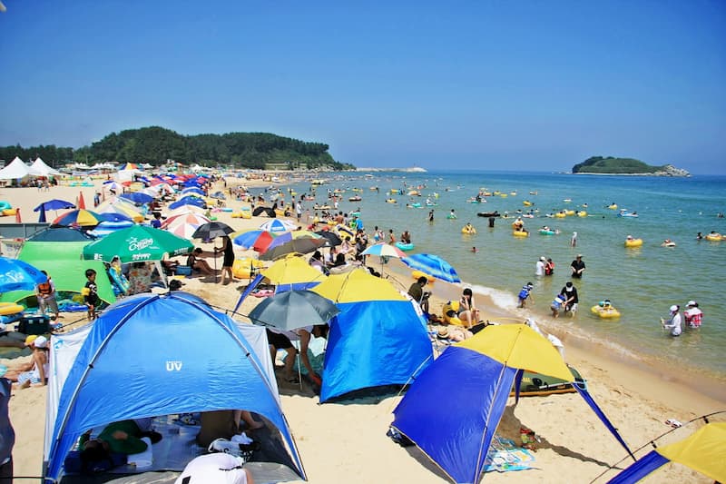 파라솔과 튜브를 펼치고 피서를 즐기는 고성 화진포해수욕장 여름 풍경